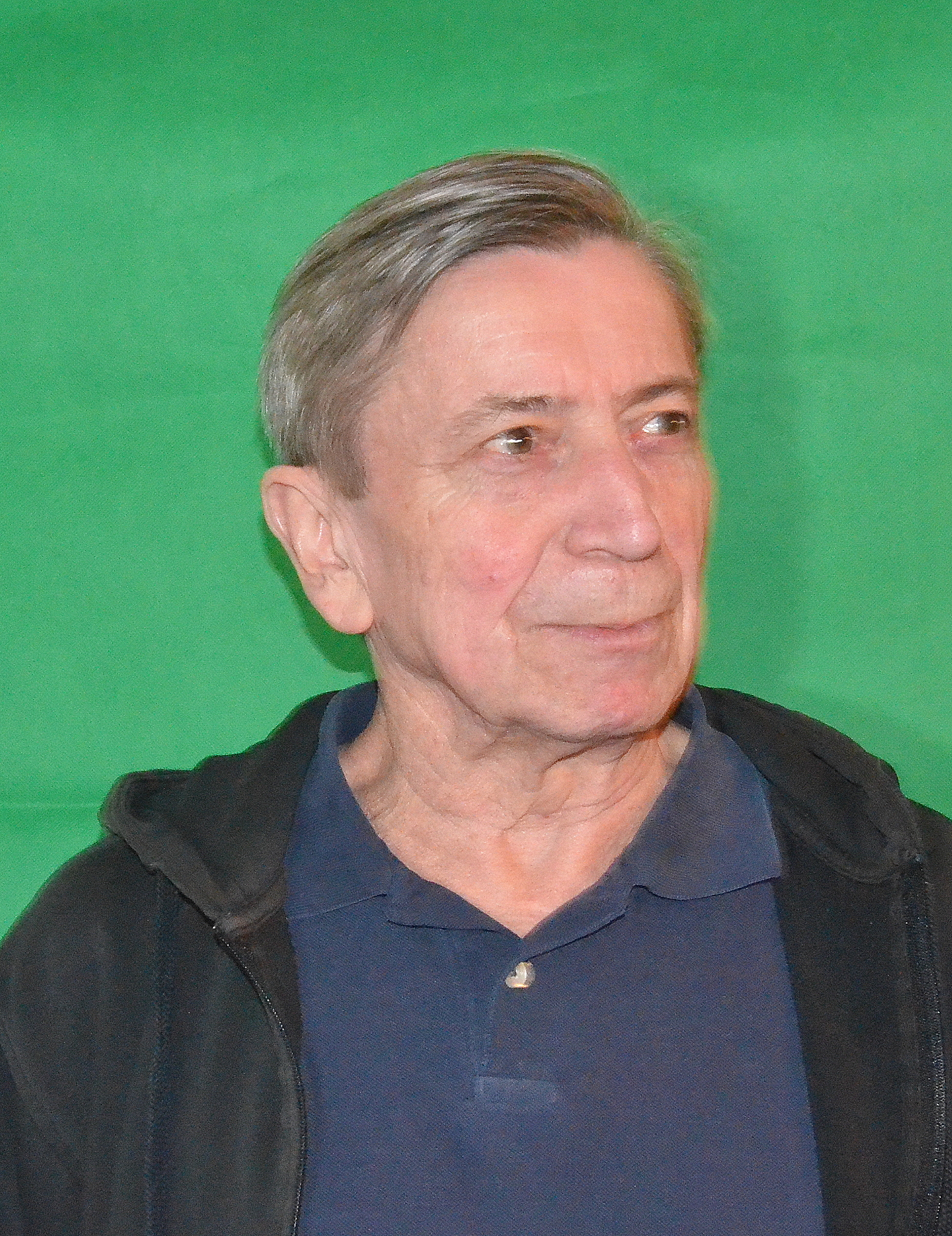 Wilfried (Wilhelm Friedrich) Hoog